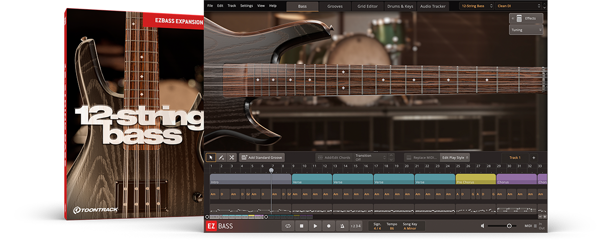 Toontrack EBX  EZbass - 12-String Bass