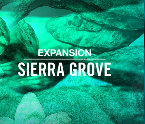 Native Instruments Expansion Bundle
