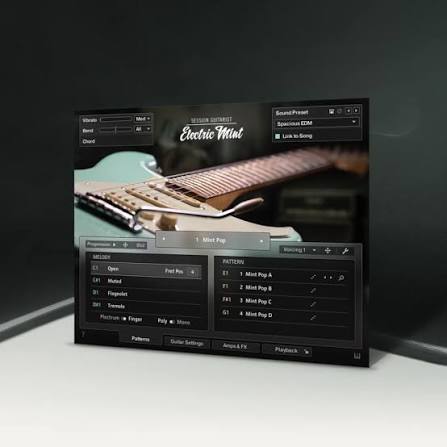 Native Instruments Session Guitarist - Electric Mint