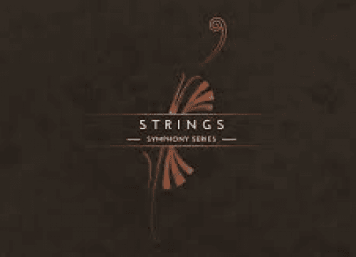 Native Instruments SYMPHONY SERIES – STRING ENSEMBLE