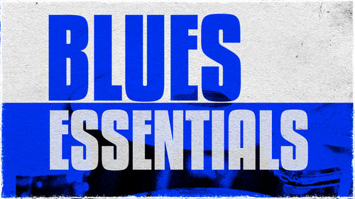 Slate Digital Slate Digital FG-116 Blue Series FET Compressors