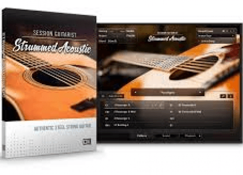 Native Instruments STRUMMED ACOUSTIC