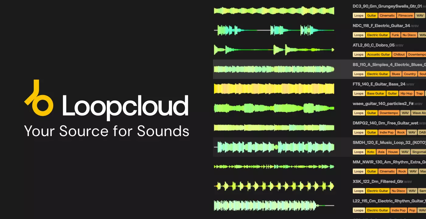 Loopcloud Loopcloud 1-Month Artist Plan